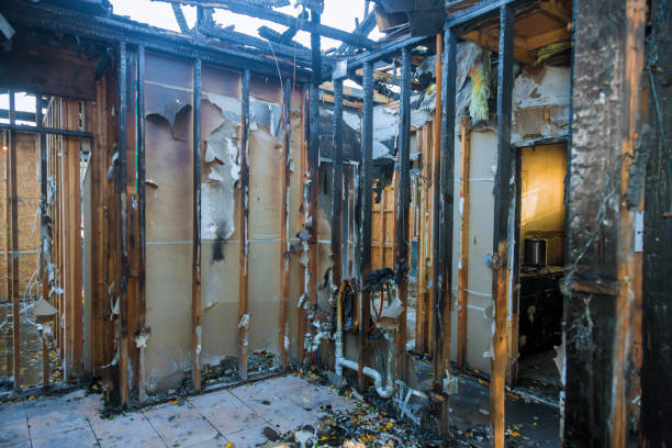 Professional Fire Damage Removal technician working in Dayton, KY